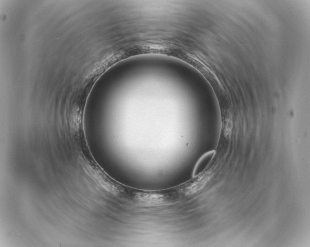 X0000086970476200704231520