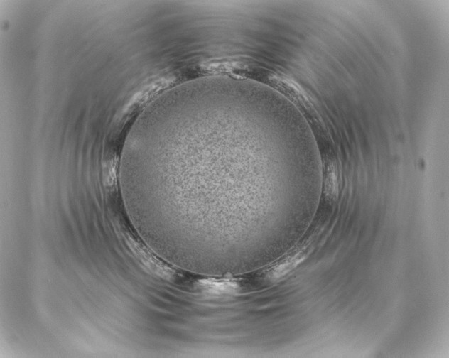 X0000086970477200704231520