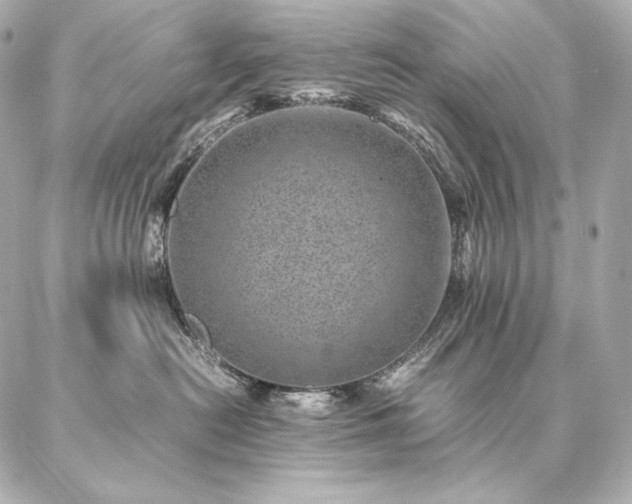 X0000086970478200704231520