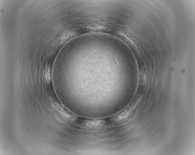 X0000086970479200704231520