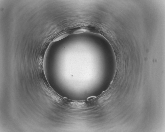 X0000086970480200704231520