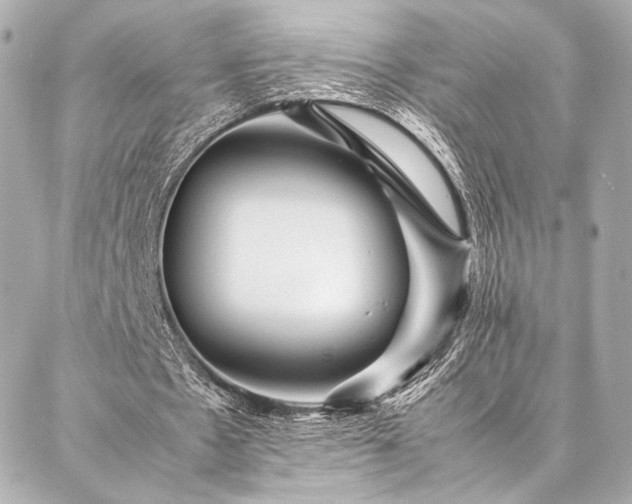 X0000086970481200704231519