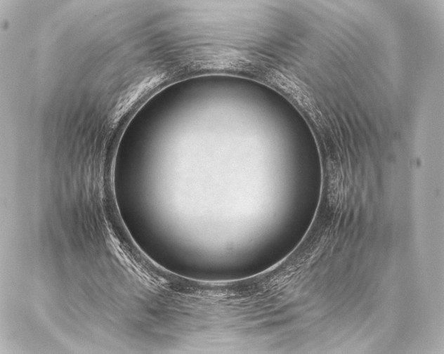 X0000086970482200704231519