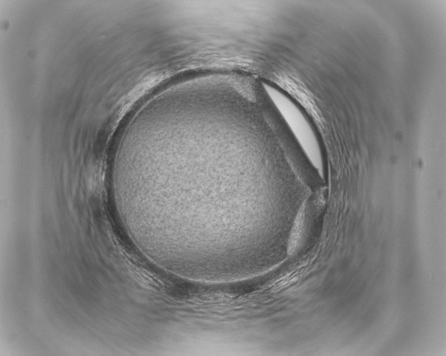 X0000086970483200704231519