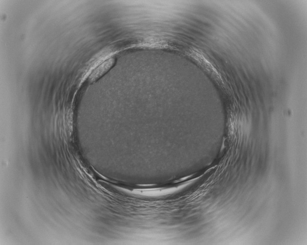 X0000086970484200704231519