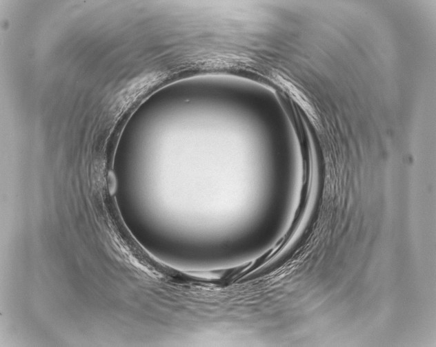 X0000086970485200704231519