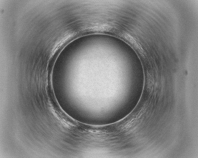 X0000086970486200704231519