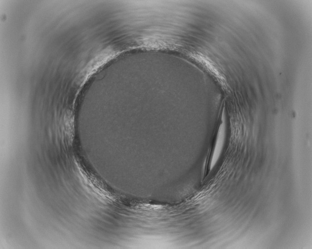 X0000086970488200704231519