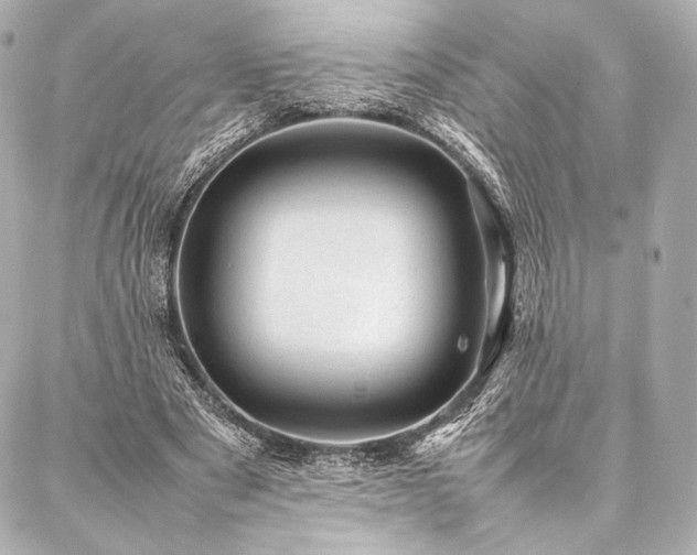 X0000086970489200704231519