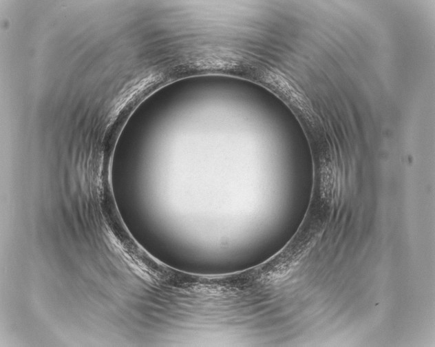 X0000086970490200704231519