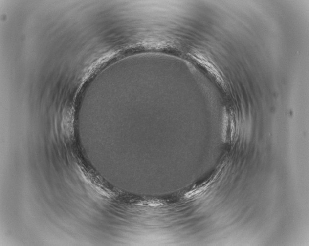 X0000086970492200704231519