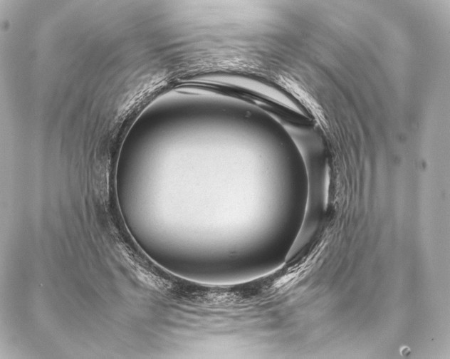 X0000086970493200704231519