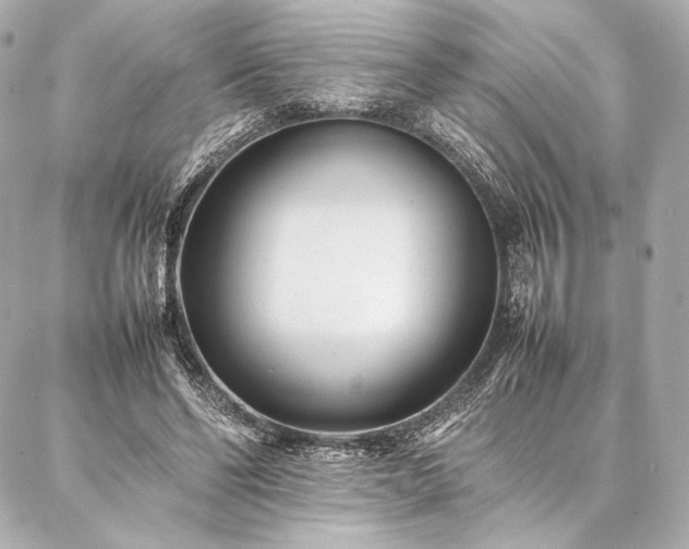 X0000086970494200704231519