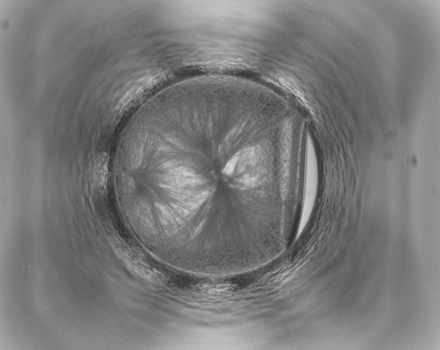 X0000086970495200704231519