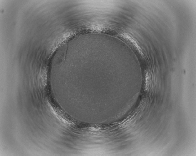 X0000086970496200704231519