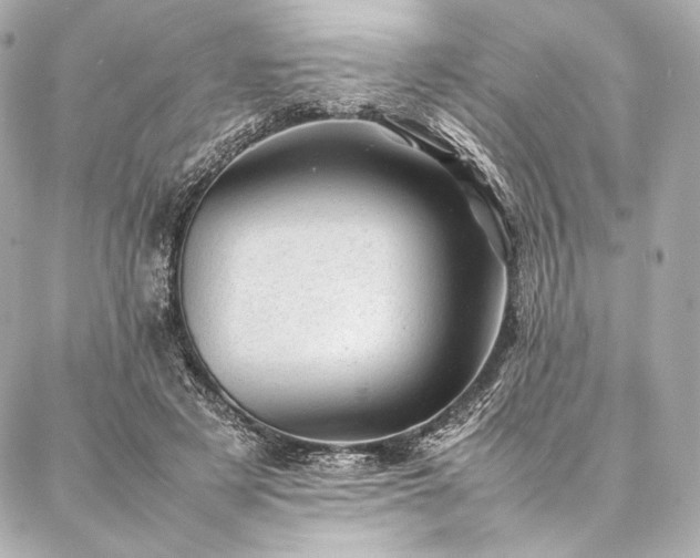 X0000086970497200704231519