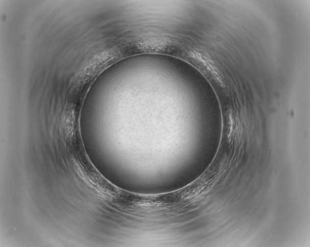 X0000086970498200704231519