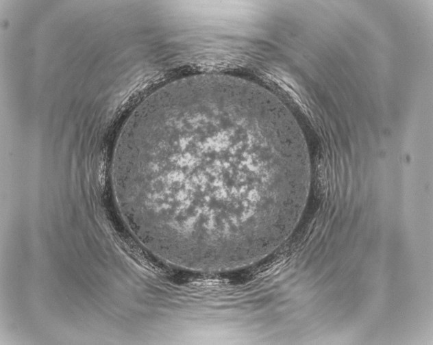 X0000086970499200704231519