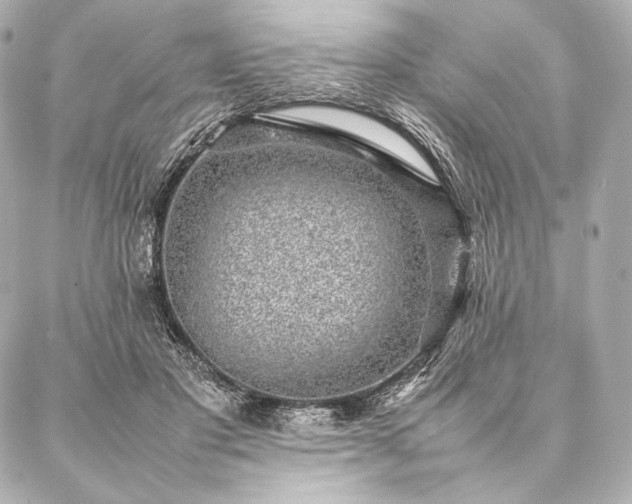 X0000086970501200704231519