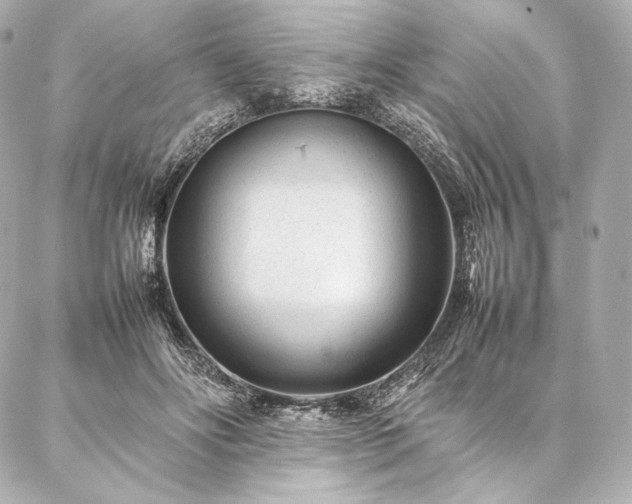 X0000086970502200704231519