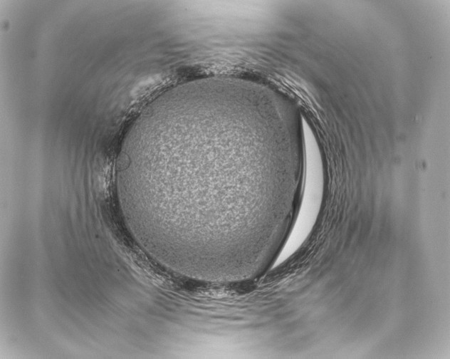 X0000086970503200704231519