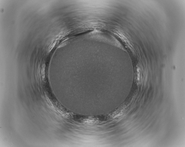 X0000086970504200704231519