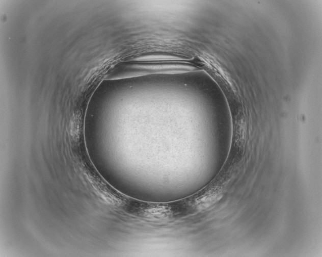 X0000086970505200704231519