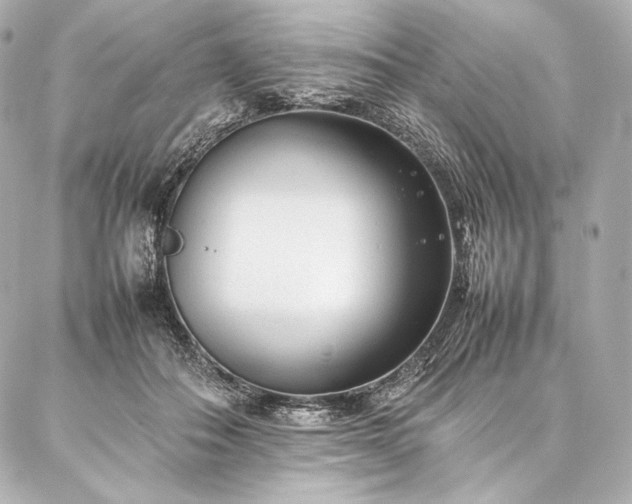 X0000086970506200704231519