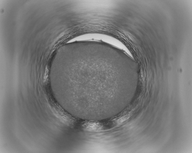 X0000086970507200704231519