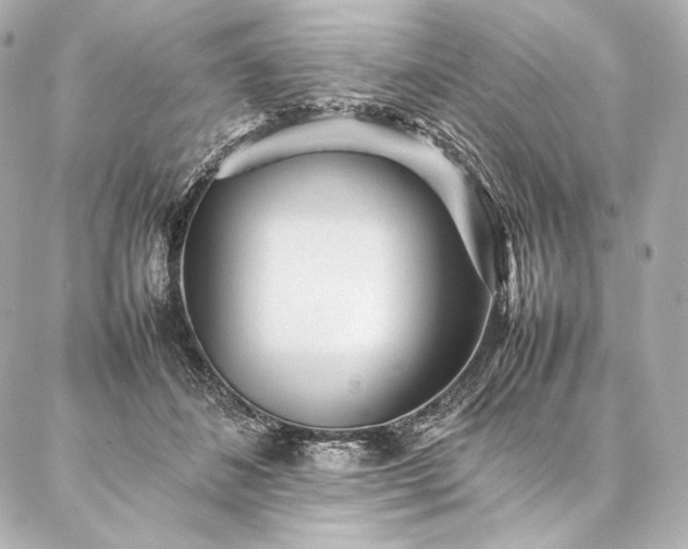 X0000086970508200704231519