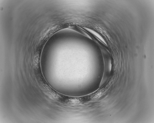 X0000086970509200704231519