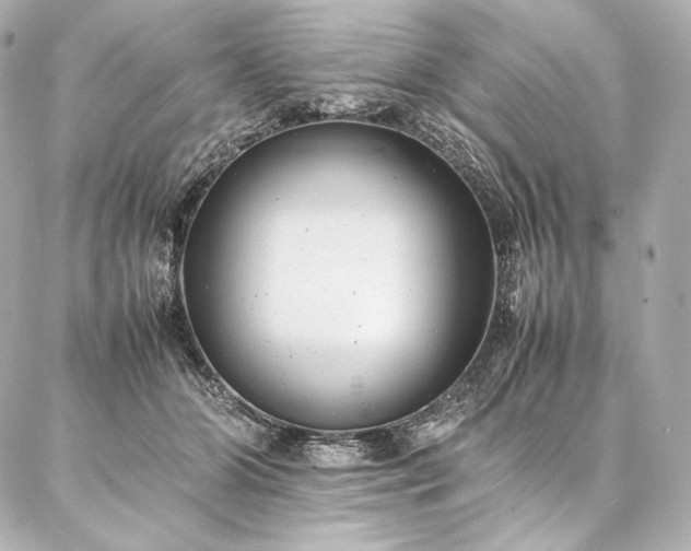 X0000086970510200704231519