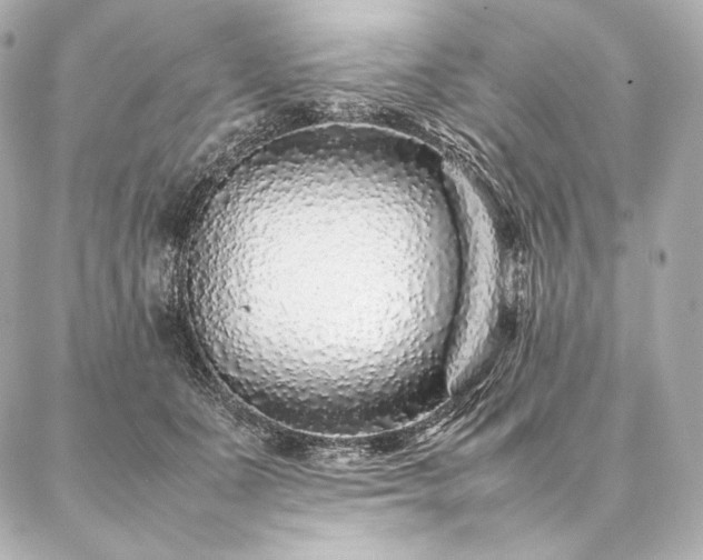 X0000086970511200704231519