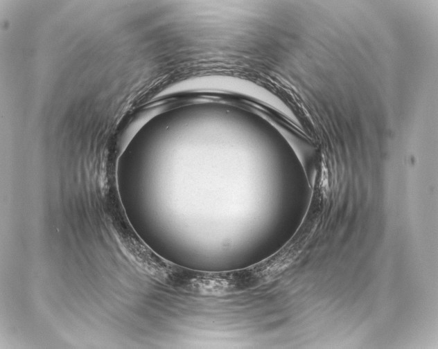 X0000086970512200704231519