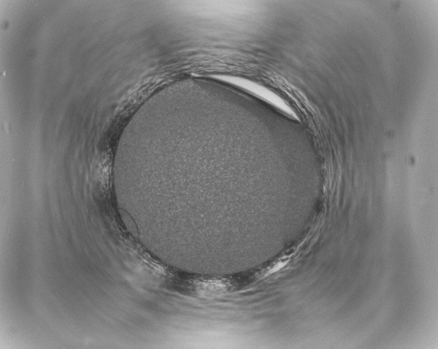 X0000086970513200704231519