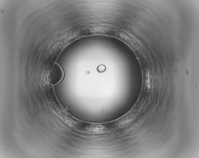 X0000086970514200704231519