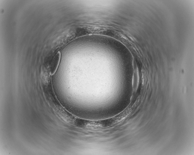 X0000086970515200704231519