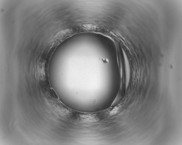 X0000086970516200704231519