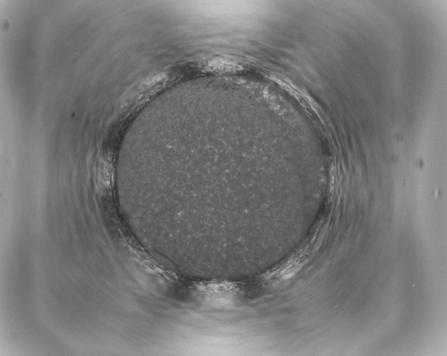 X0000086970517200704231519