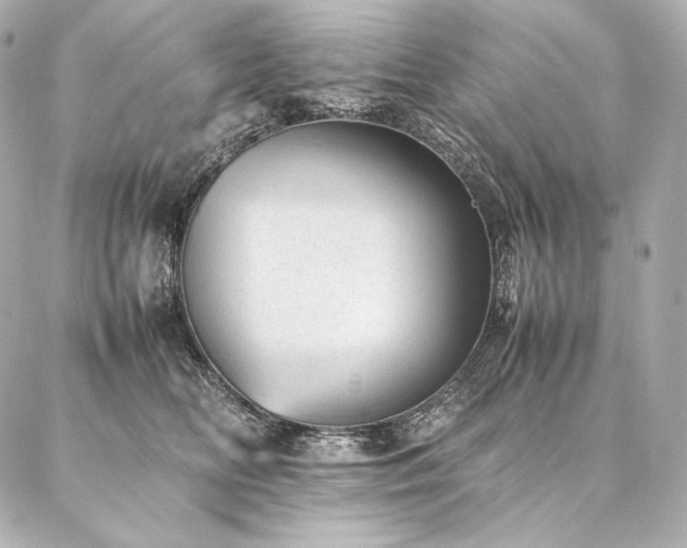 X0000086970518200704231519