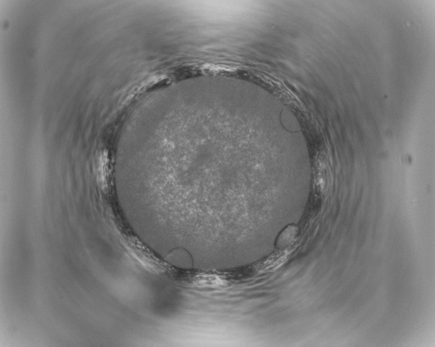 X0000086970519200704231519