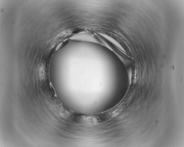 X0000086970520200704231519