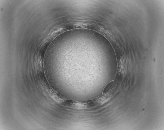 X0000086970522200704231519