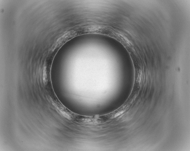 X0000086970524200704231519