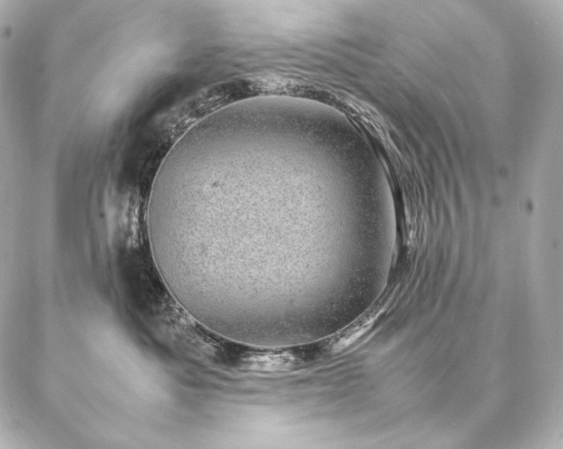 X0000086970525200704231518