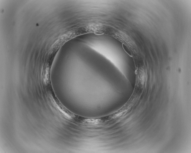 X0000086970526200704231518