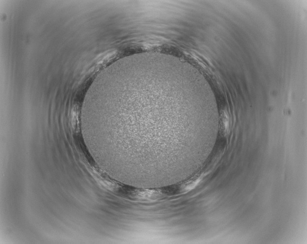 X0000086970527200704231518