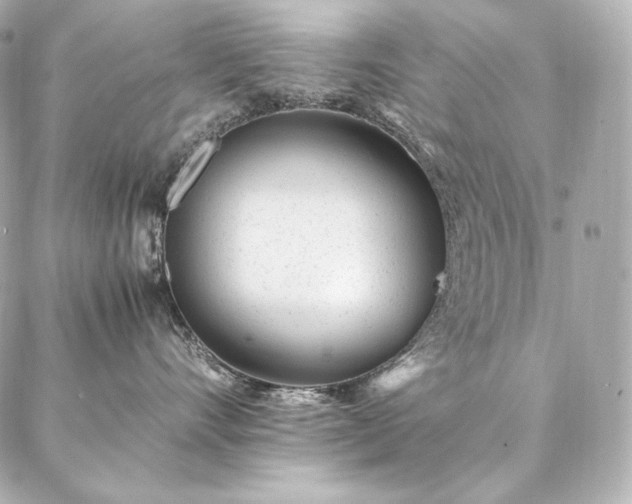 X0000086970528200704231518