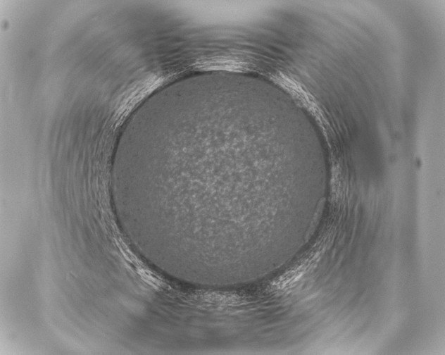 X0000086970529200704231518