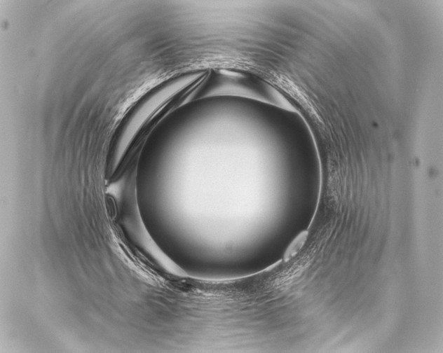 X0000086970530200704231518